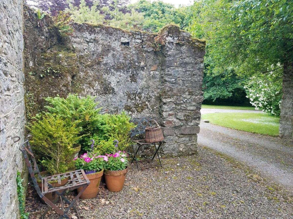 Kilmahon House, P25A973 Bed and Breakfast Shanagarry Εξωτερικό φωτογραφία