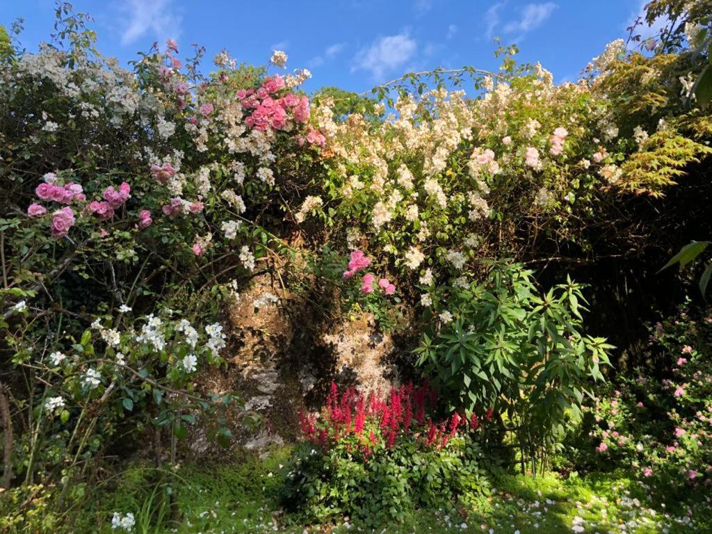 Kilmahon House, P25A973 Bed and Breakfast Shanagarry Εξωτερικό φωτογραφία
