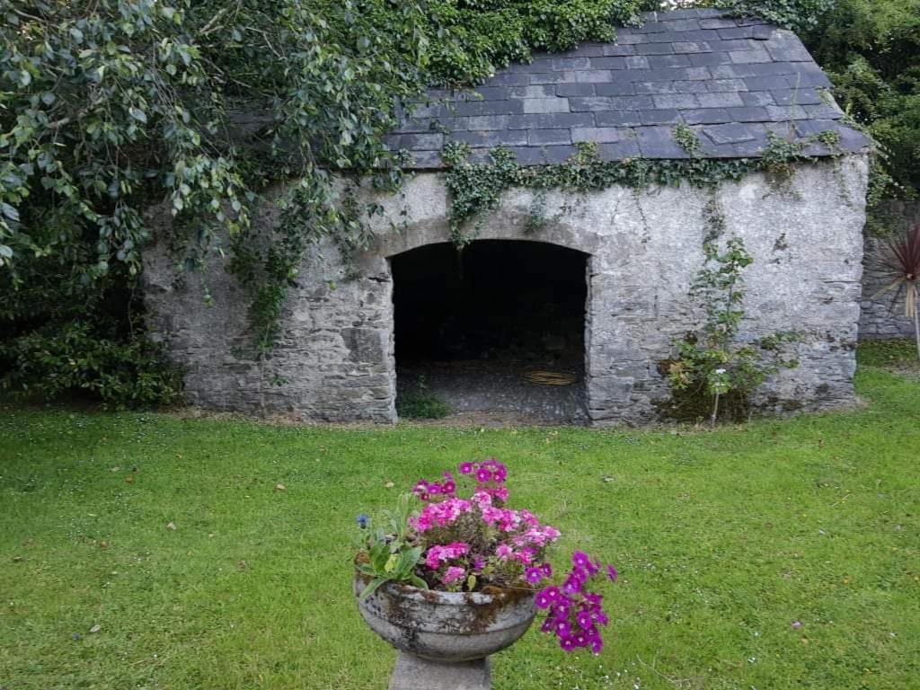 Kilmahon House, P25A973 Bed and Breakfast Shanagarry Εξωτερικό φωτογραφία